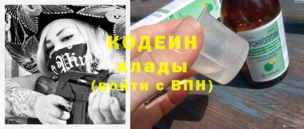 герыч Алексин